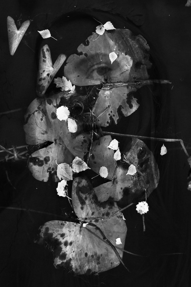 Photograph by Евгения Булычёва