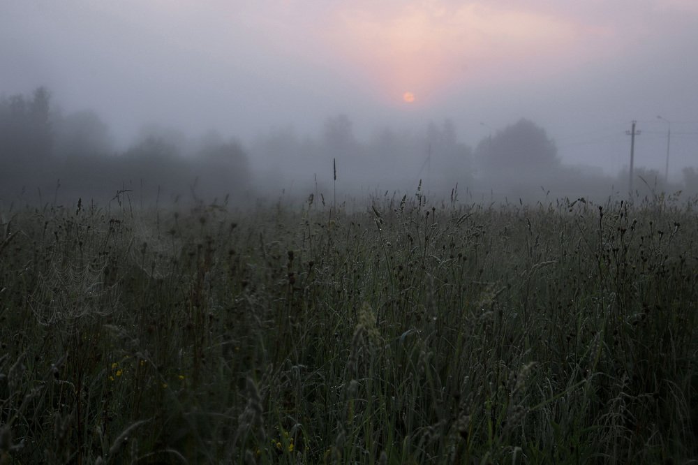 Photograph by Евгения Булычёва
