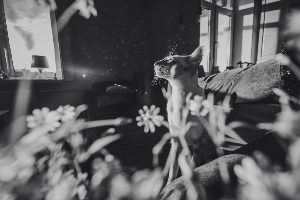 Photograph by Ольга Воронова