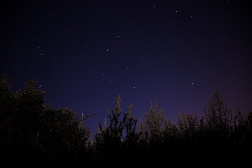 Photograph by Евгения Булычёва