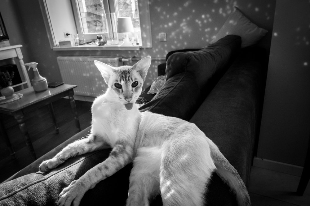 Photograph by Ольга Воронова