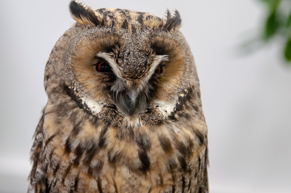 Photograph by Сергей Зубенин