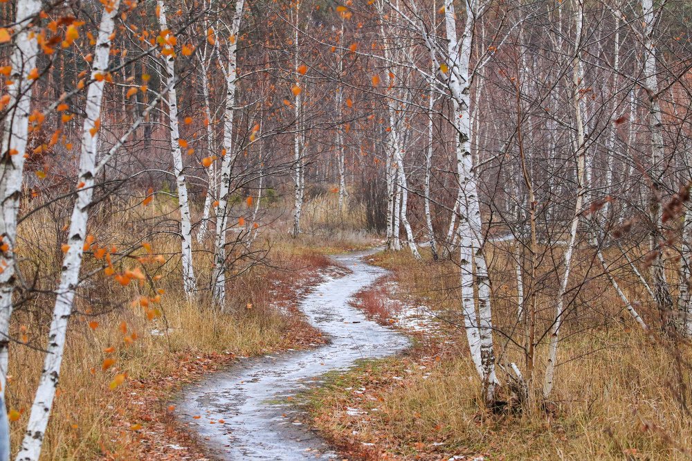 Photograph by Дмитрий Тимин