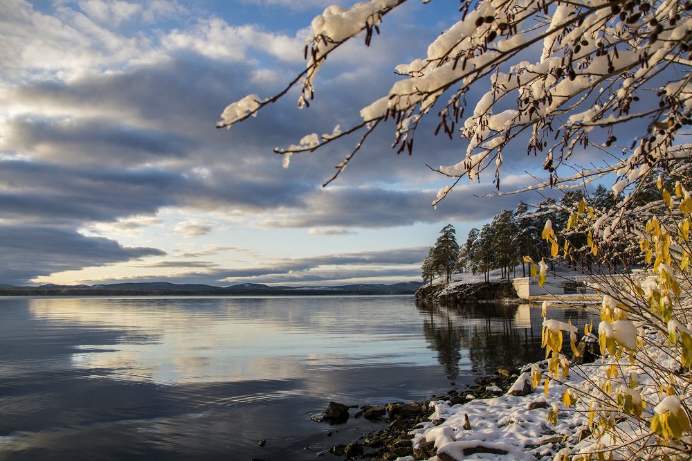 Photograph by Николь Плисовская