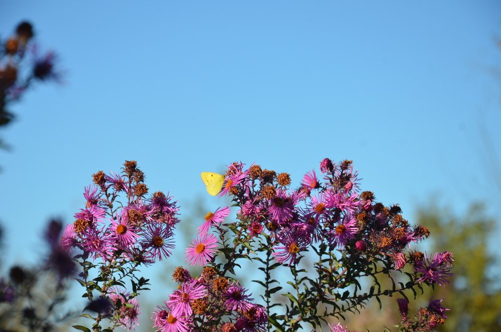 Photograph by Алексей Соболь
