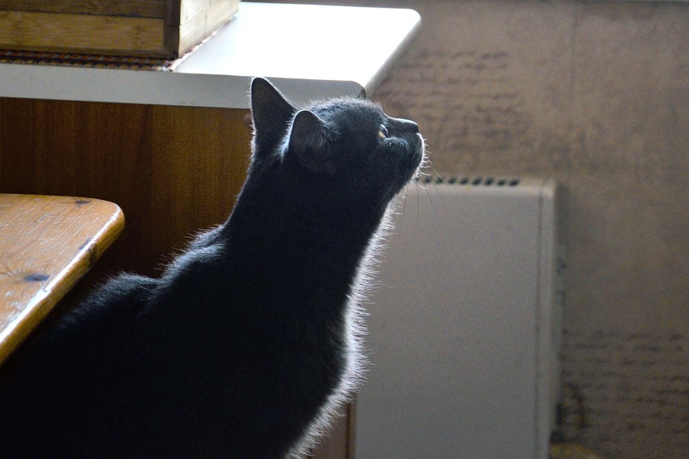 Фотография автора Людмила Куприянова