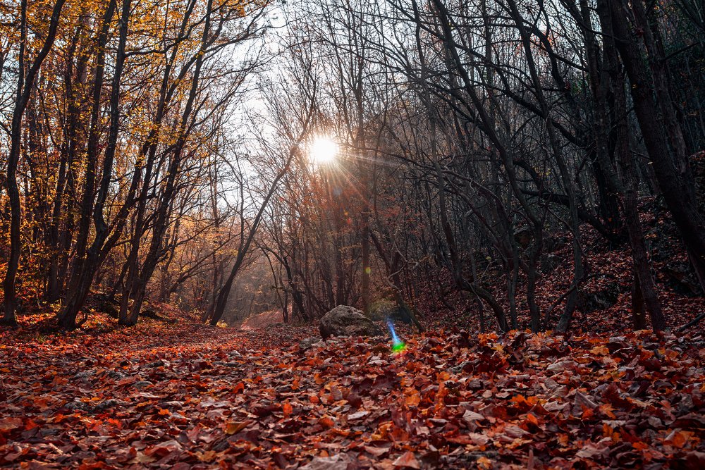Photograph by Вадим Тихонов