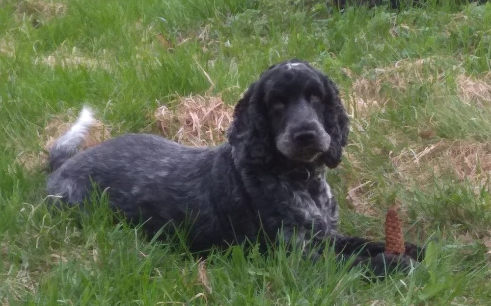 Photograph by Вита