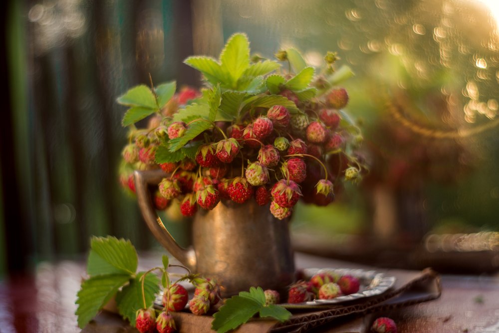 Photograph by Елена Вапняр