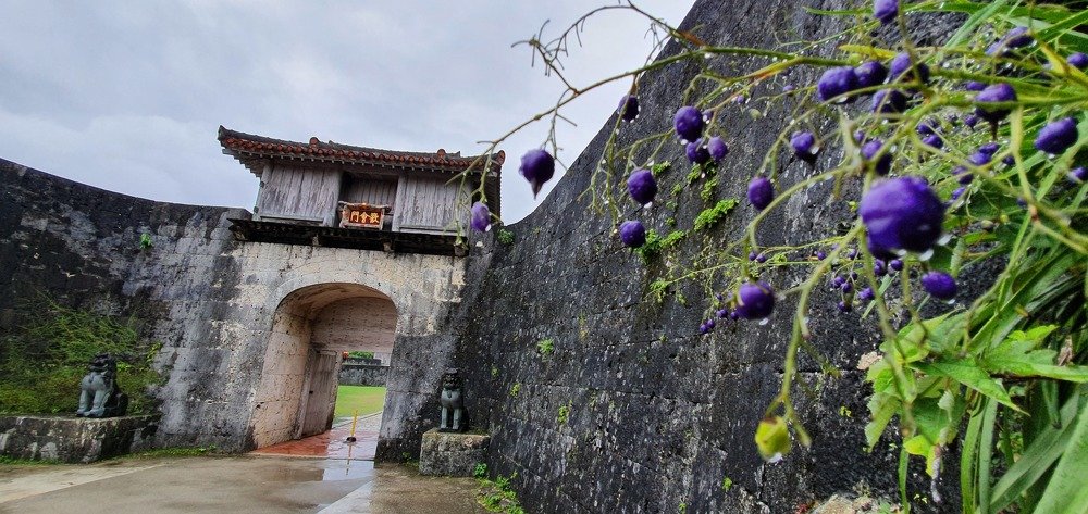 Photograph by Анатолий