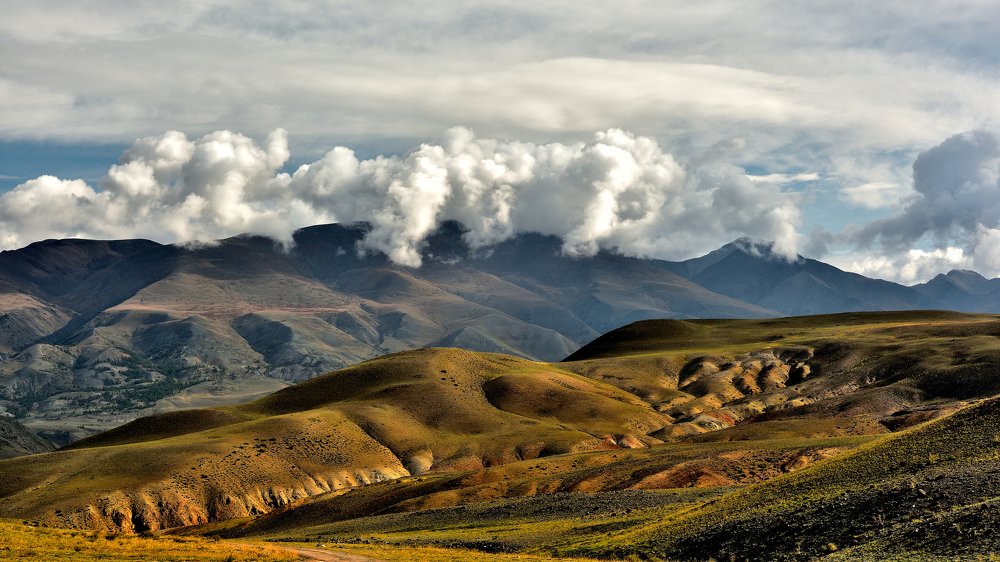 Курайская степь