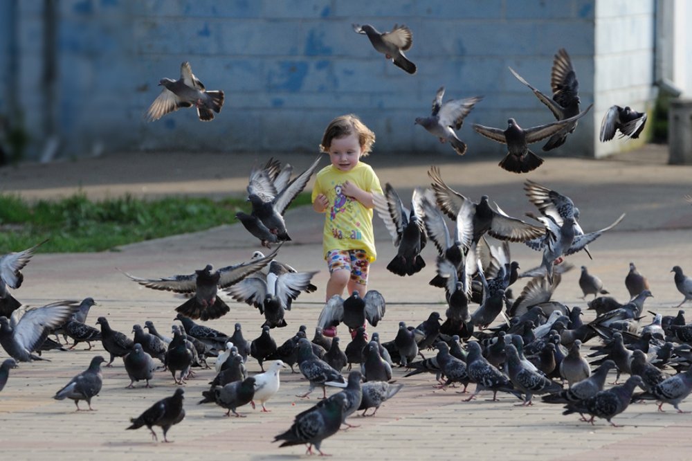 Photograph by Михаил