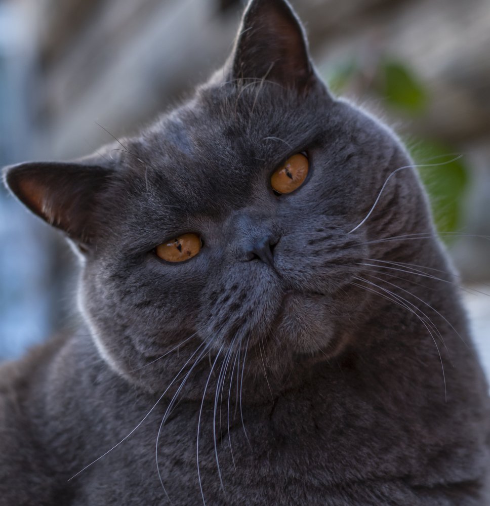 Photograph by Ирина Ефимова