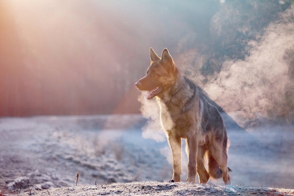 Photograph by Иван Мамонтов