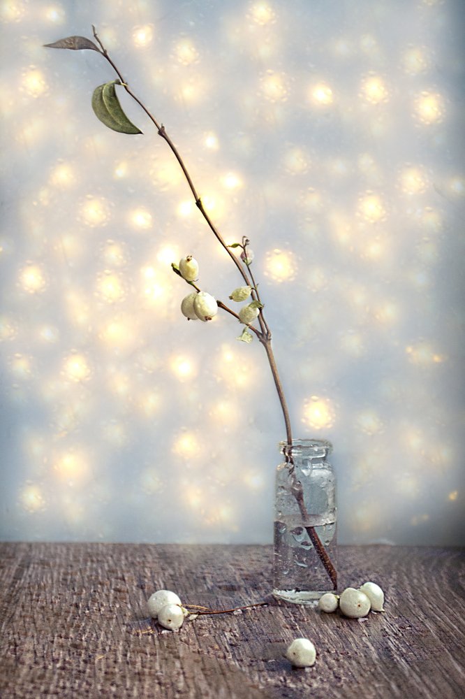 Photograph by Александра Коновалова