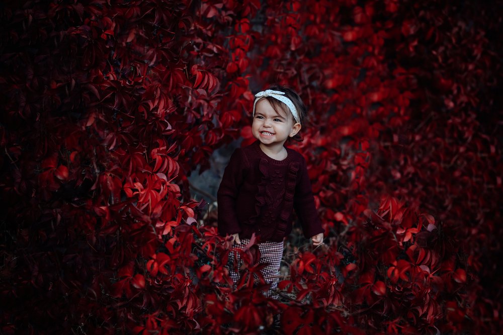 Photograph by Анастасия