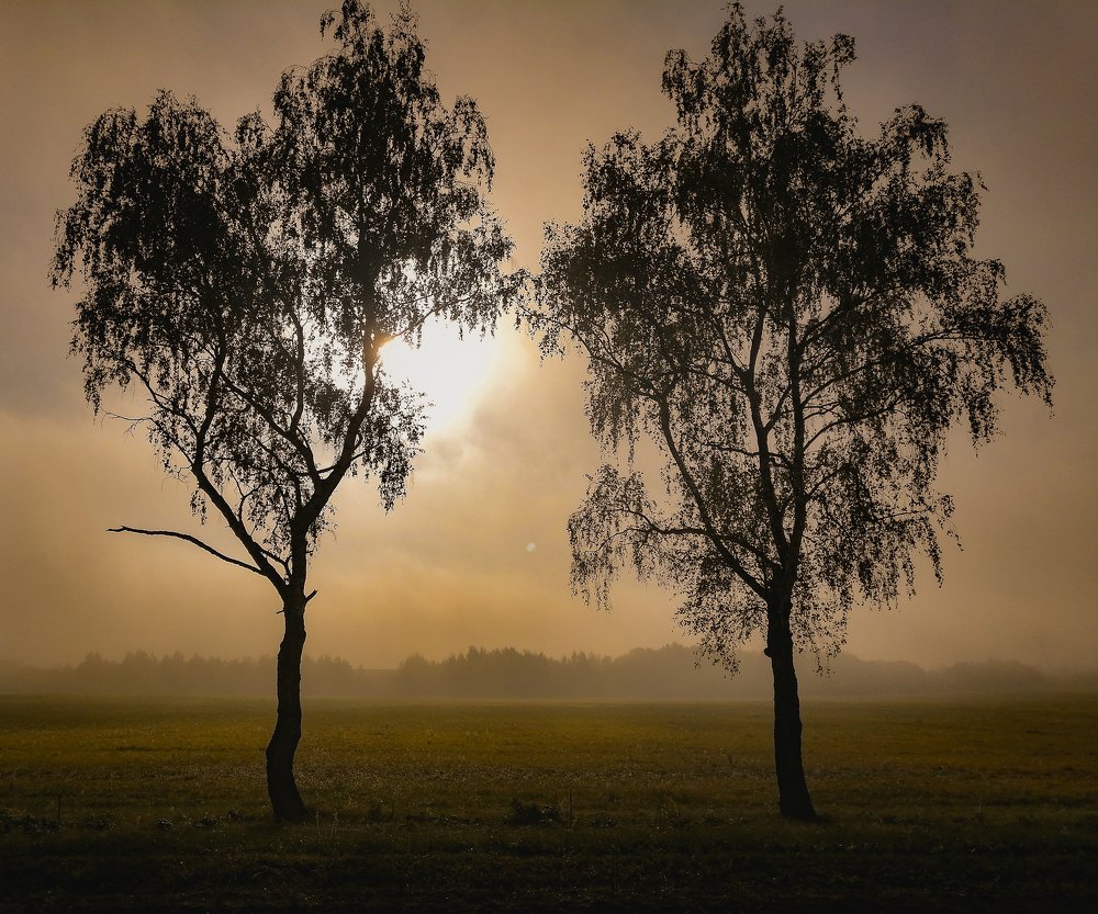 Photograph by Илья Гореньков