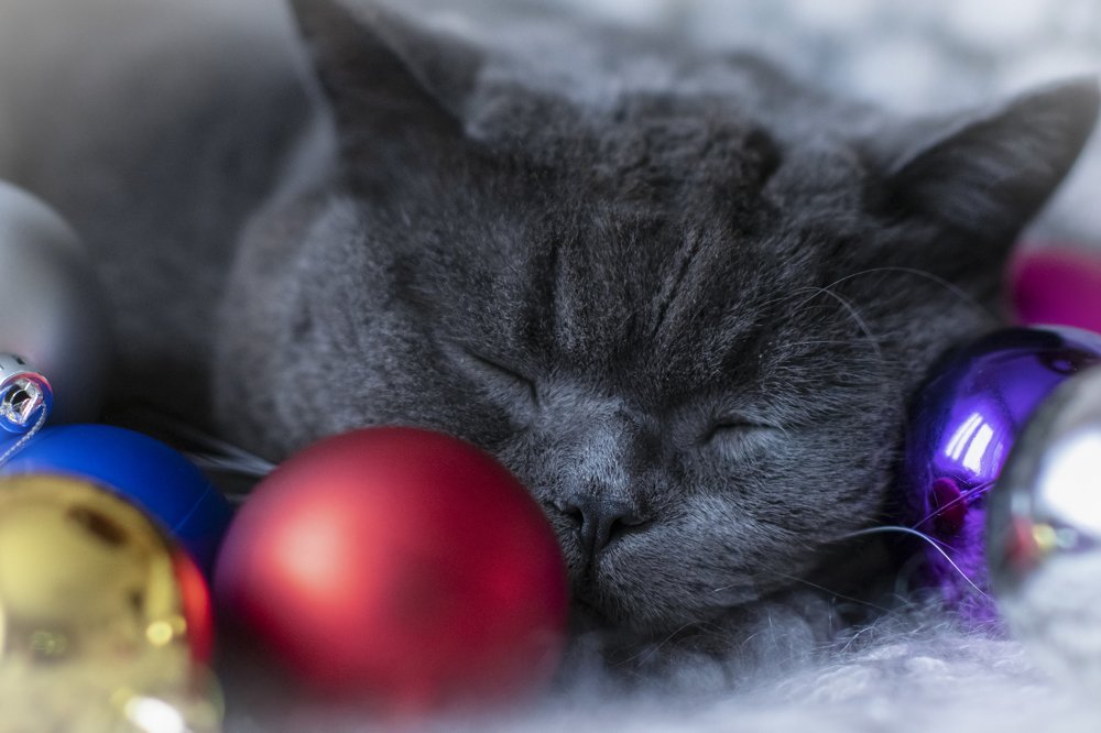 Photograph by Ирина Ефимова