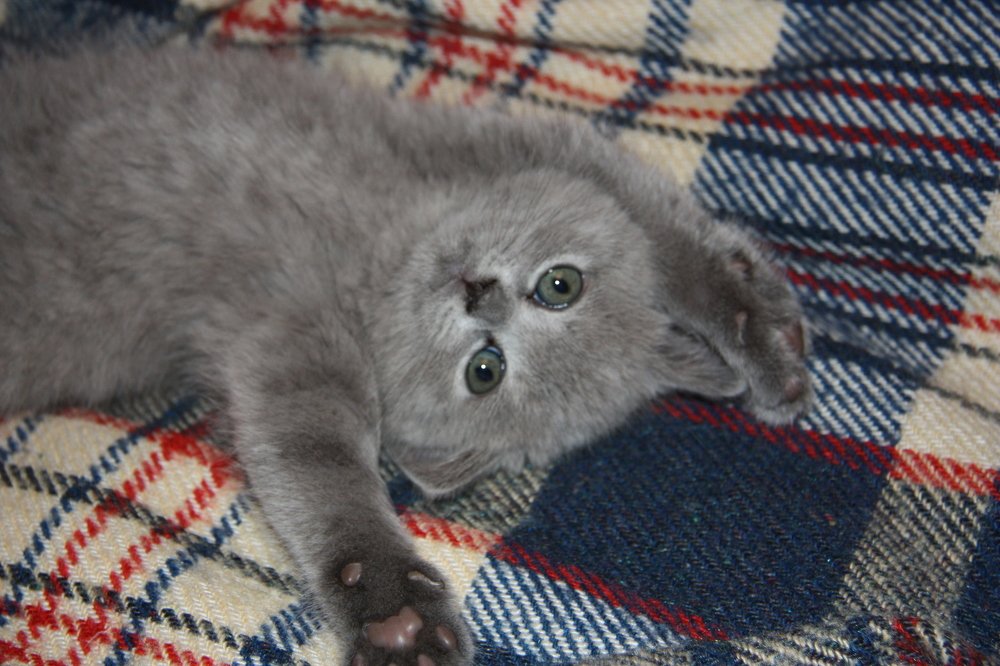 Photograph by Яна Полосина