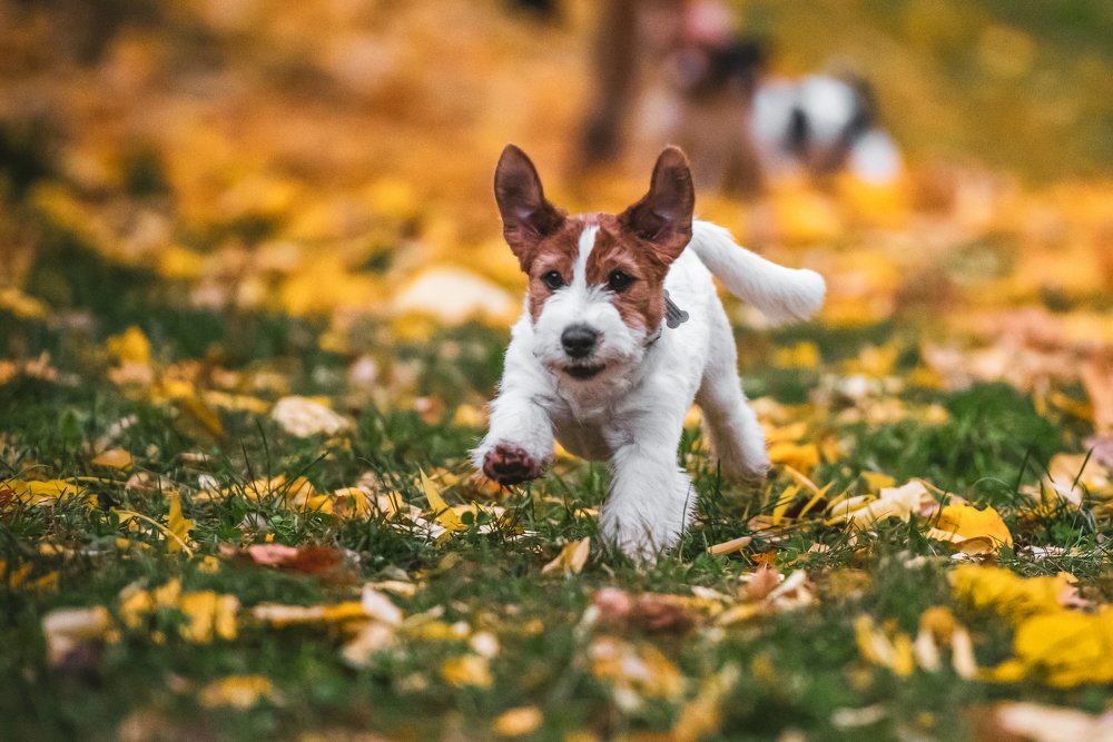 Photograph by Виола Поликарпова