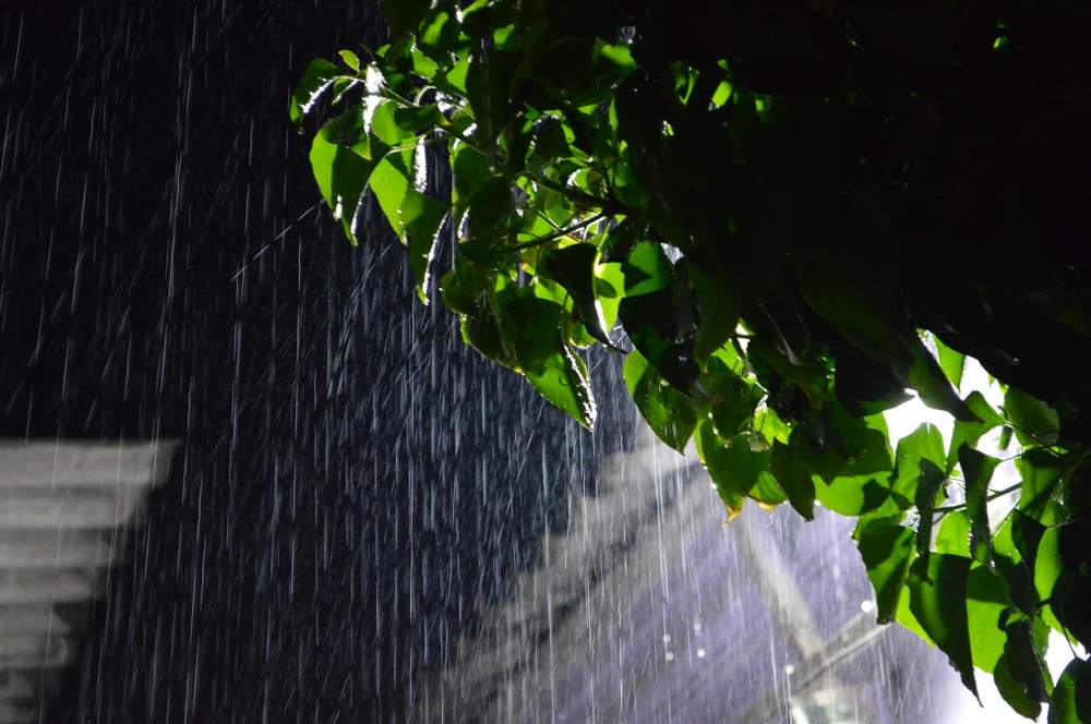 Photograph by Виктория Севастьянова