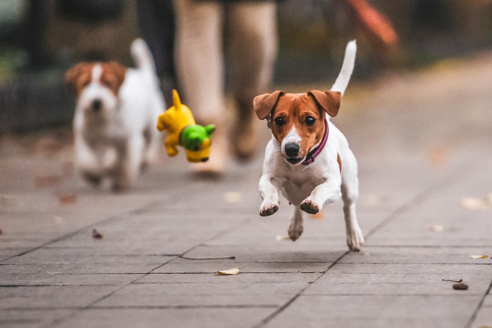 Photograph by Виола Поликарпова