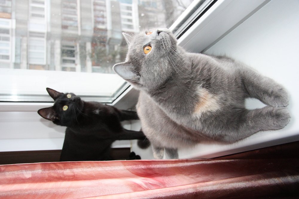 Photograph by Яна Полосина