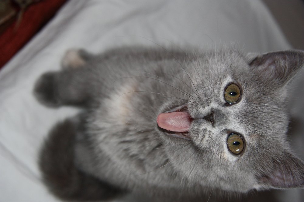 Photograph by Яна Полосина