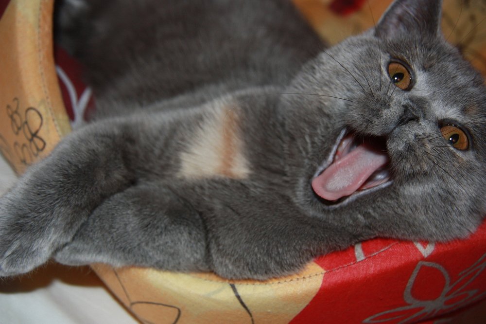 Photograph by Яна Полосина