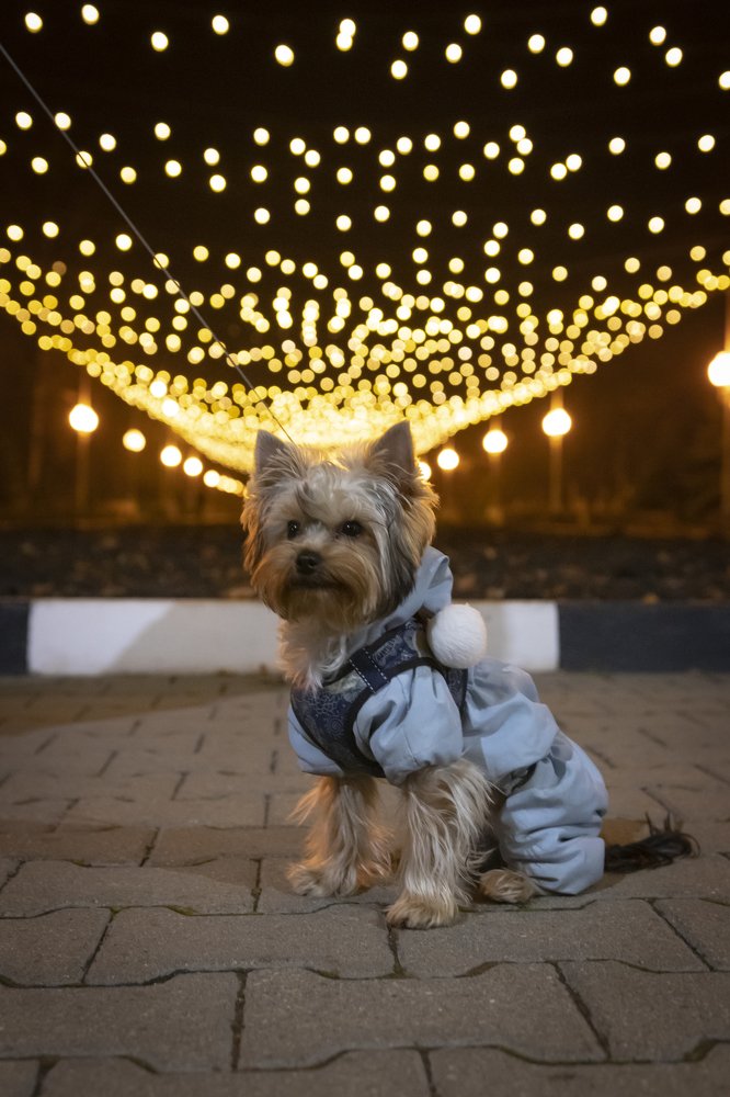 Photograph by Дмитрий Перских