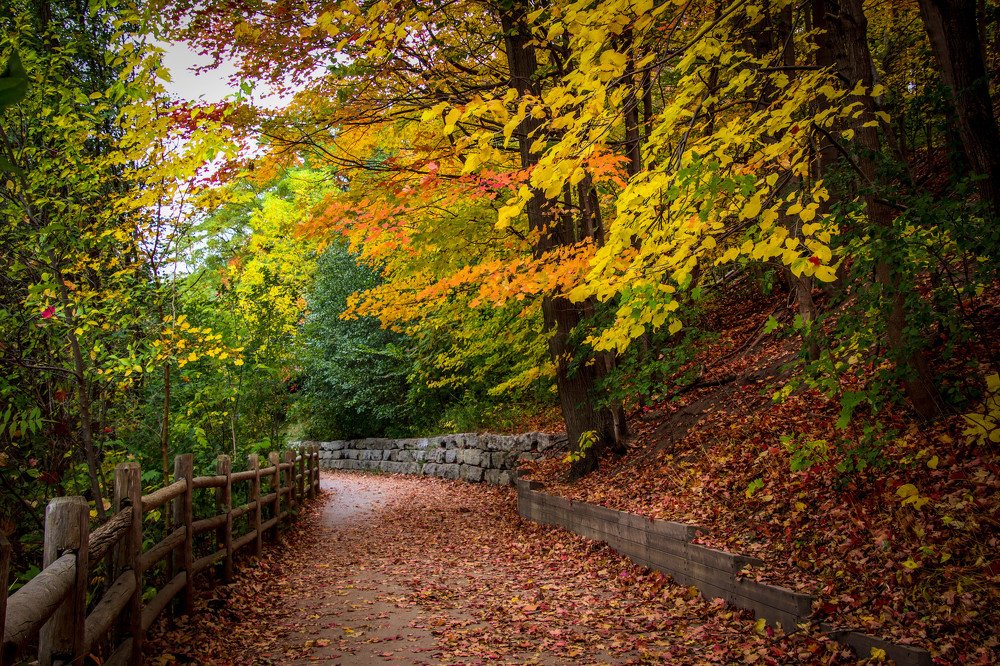 Photograph by Olga Vasina