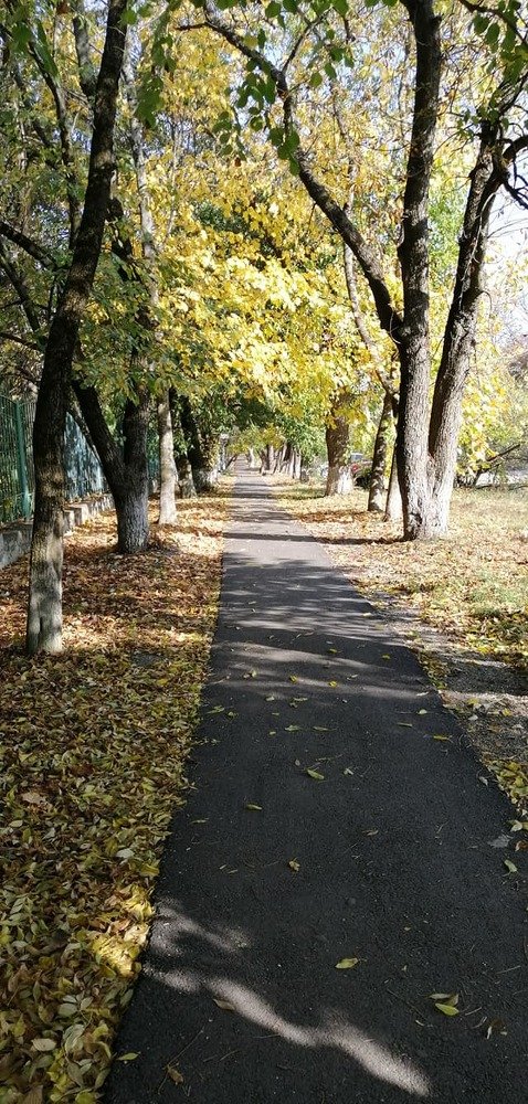 Photograph by Мила