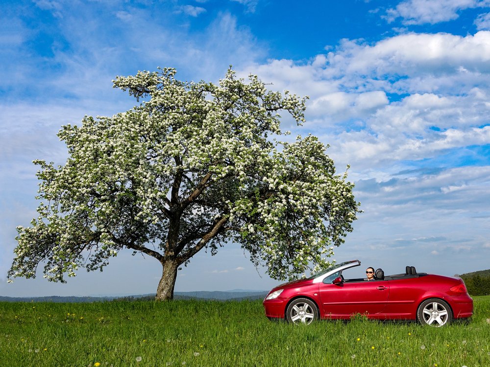 Photograph by Сергей Шишмарин