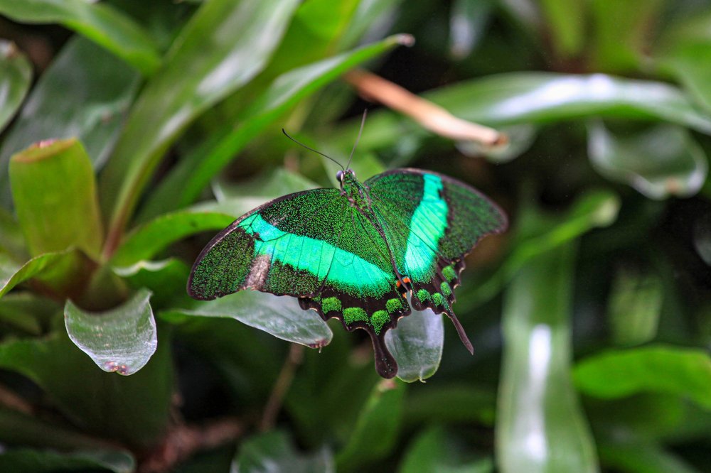 Photograph by Сергей Шишмарин