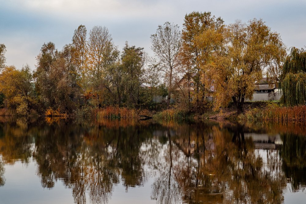 Photograph by Александр Бачурский