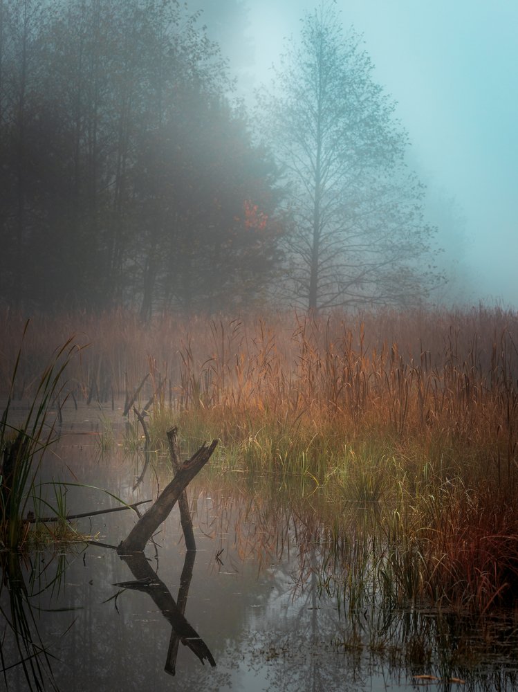 Photograph by Grzegorz