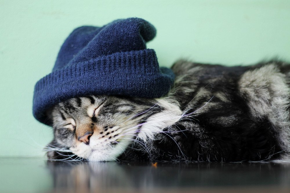 Photograph by Ирина Мамонова