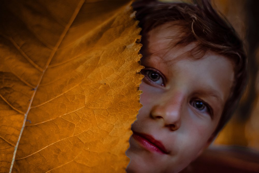 Photograph by Екатерина Кваша