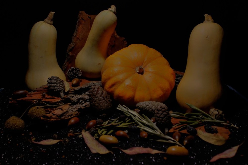 Photograph by Francisco Ferreira