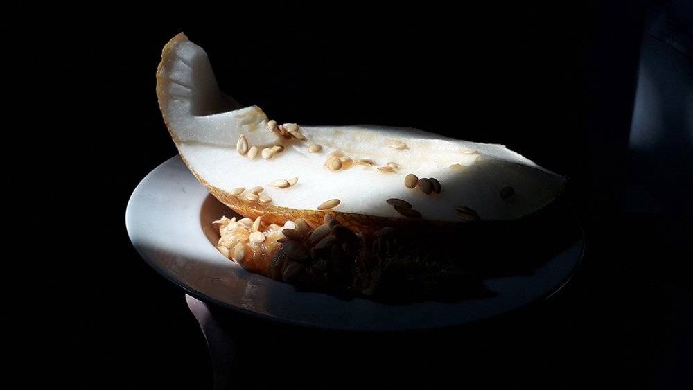 Photo #5316230