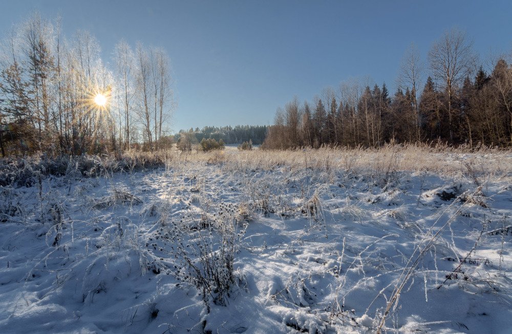 Мороз и солнце