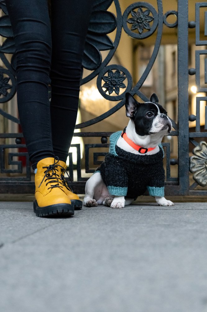 Photograph by Антон Герасимов