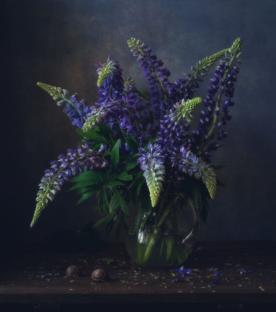 Photograph by Наталия К