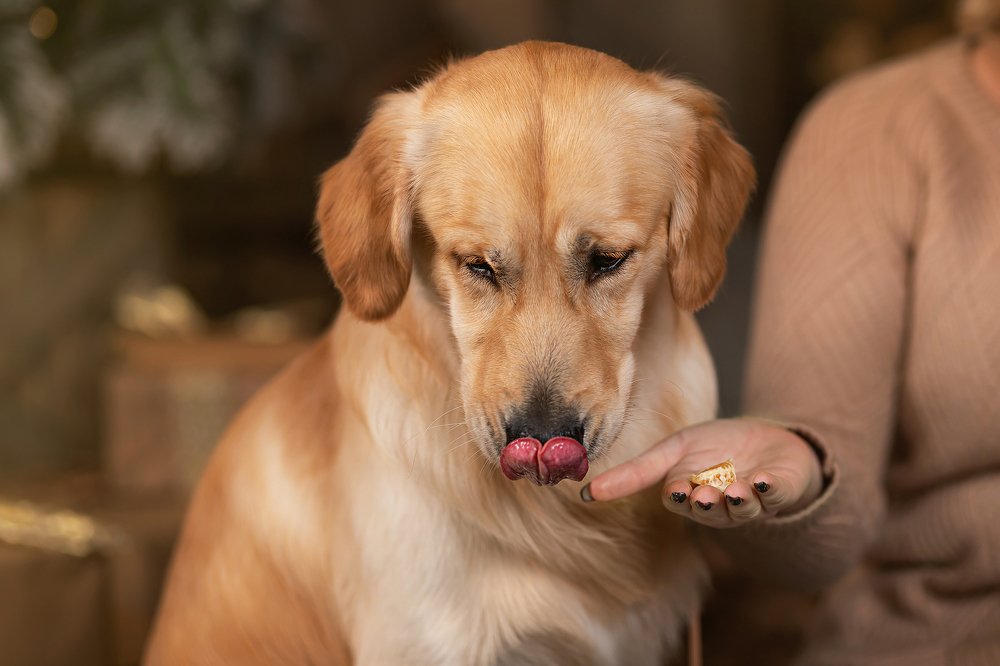 Фотография автора Наталья Копылова