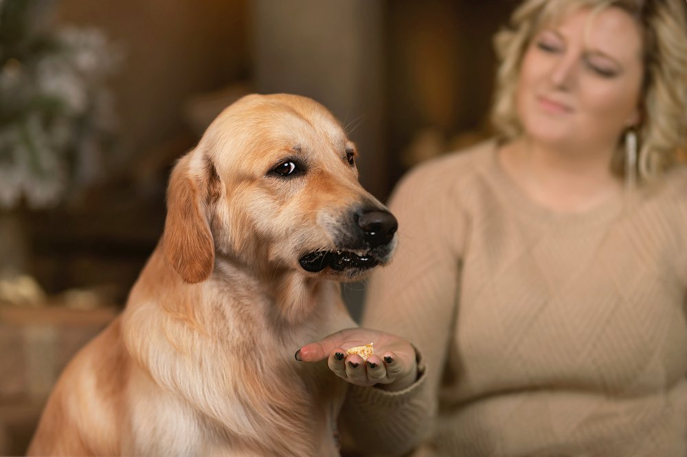 Фотография автора Наталья Копылова