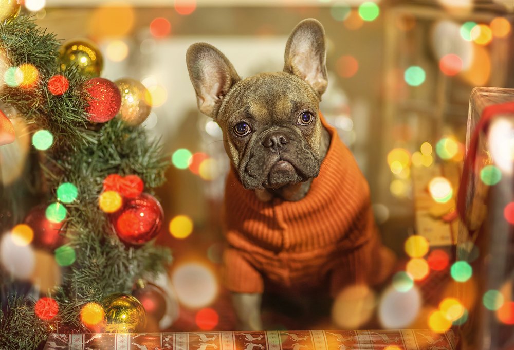 Фотография автора Наталья Копылова