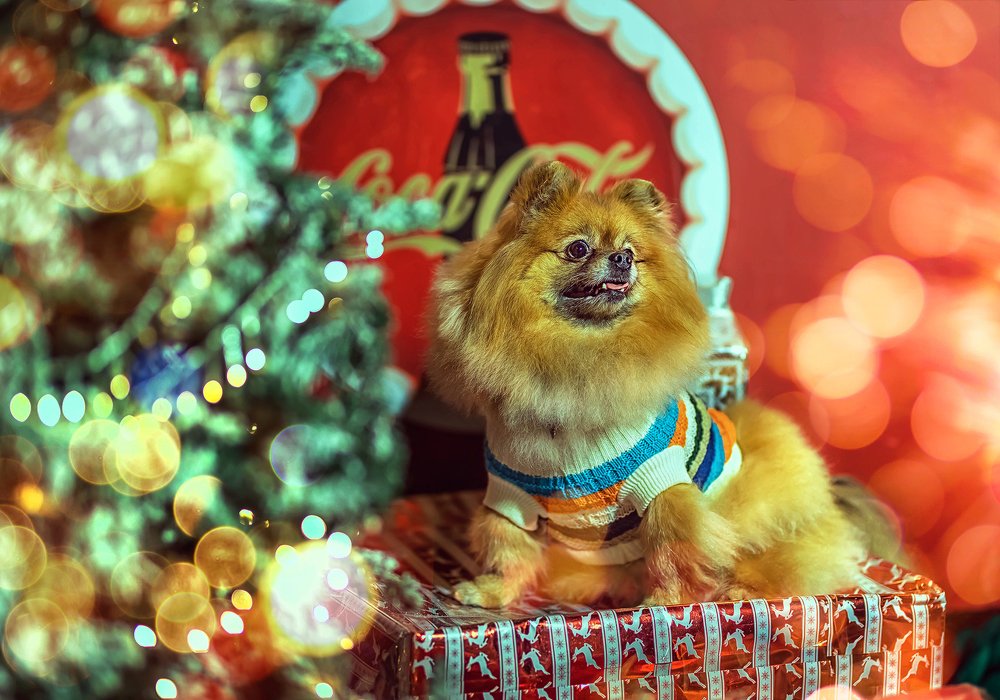 Фотография автора Наталья Копылова