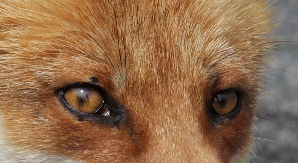 Photograph by Лада Денисова