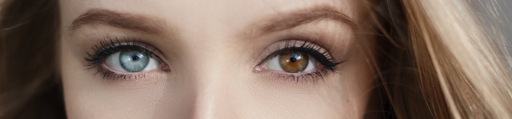 Photograph by Александр Гулько