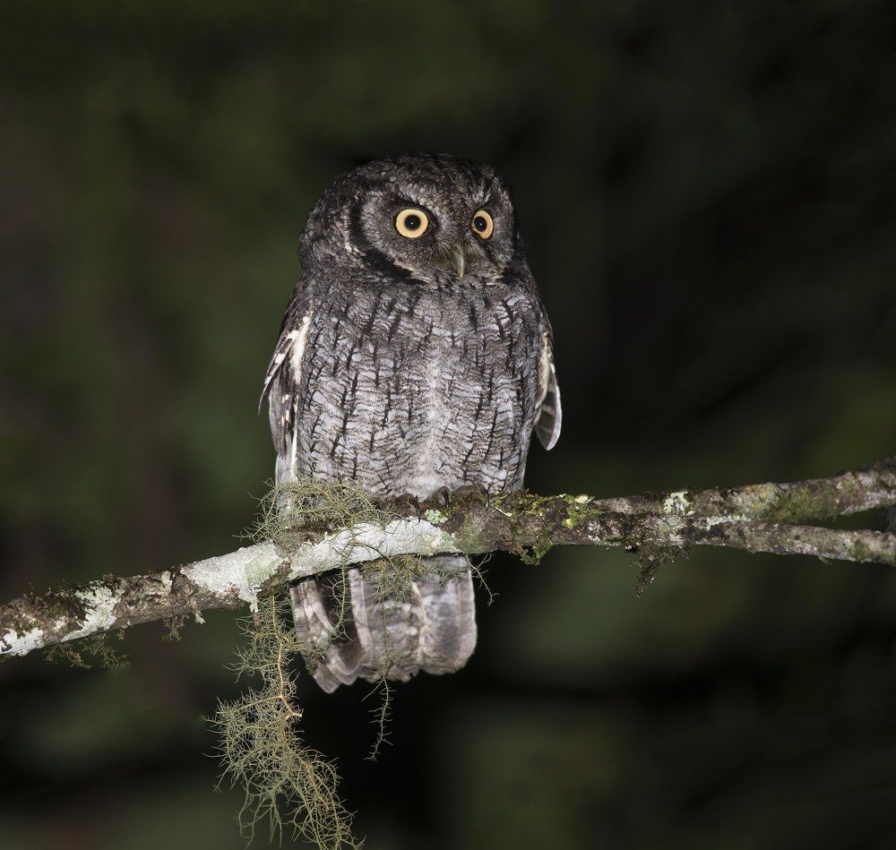 Photograph by Paulo Guerra